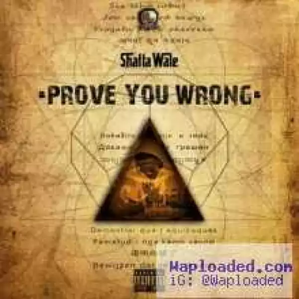 Shatta Wale - Prove You Wrong